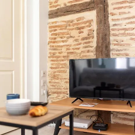 Le Cocon Castrais Apartment Castres (Tarn)