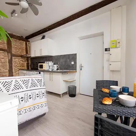 Apartment Le Cocon Castrais